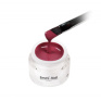 98795 Emmi-Nail Color Gel Marsala 2 5ml -F167-