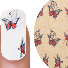 80253 Emmi Nail Water Tattoo Butterfly