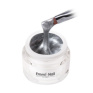 70289 Emmi Nail Glossy Gel Silver State 5ml -F224-